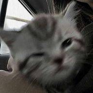 IM2さんのアイコン画像