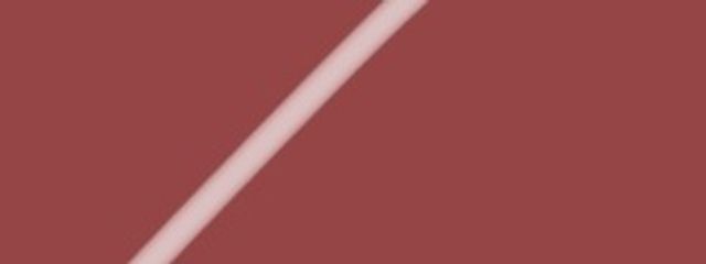 森林地.かめ　@8　#生まれ変わるなら男さんの壁紙画像