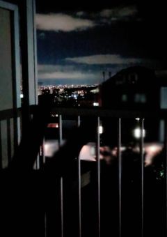 🌘 愚痴部屋 🐦‍⬛