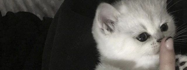 そ あ 🌕さんの壁紙画像