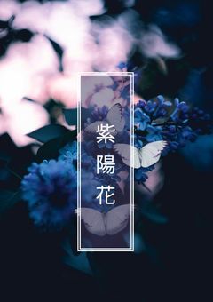 紫陽花