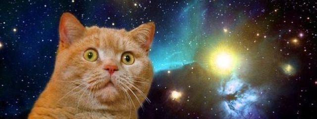 自己肯定感ゼロの覇王さんの壁紙画像