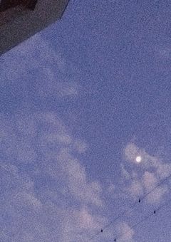 悪役令嬢に転生したのでヒロインの座,奪ってやります【all】