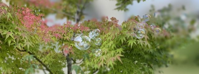凛夜ってカッコよくね？さんの壁紙画像