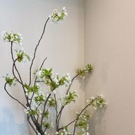 笹さんのアイコン画像