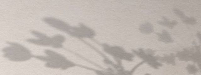 叶恵さんの壁紙画像