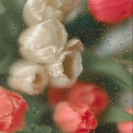 如月さんのアイコン画像