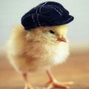 🐥