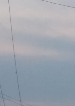 今年の夏はサイダーに溺れた