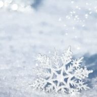 SnowMan&SixTONES担🐱🍚さんのアイコン画像