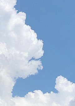 モブに恋してしまいました。【桃】