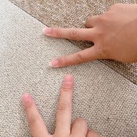 アイスさんのアイコン画像