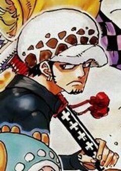 死の外科医へ無自覚に恋する海兵は麦わらの姉。