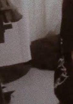 セブチのマンネは人見知り。