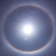 ぴよさんのアイコン画像