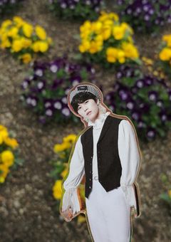 とびだせ！！🐰きまたの森🐰