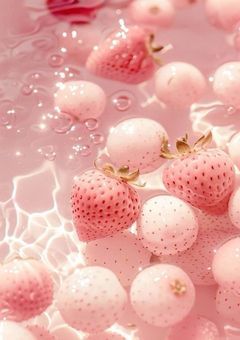 My Lovely Partner ♡*⁠。