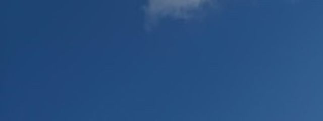 みうめさんの壁紙画像