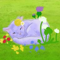 四季野　花輪 さんのアイコン画像