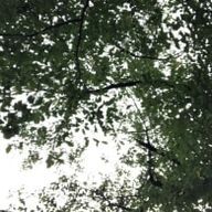 (៸៸>⩊<៸｀)さんのアイコン画像