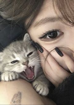 　　@　愛され子猫ちゃん ．