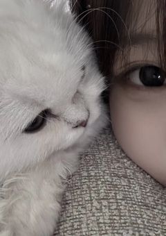　　愛され子猫ちゃん ．