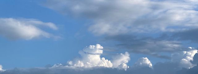 金持ち夫人のまりもさんの壁紙画像