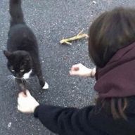 りとさんのアイコン画像