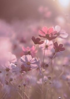 fragile and fleeting