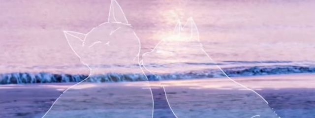 もちごめさんの壁紙画像