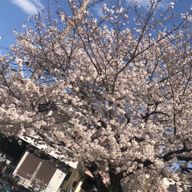 ゆめかさんのアイコン画像