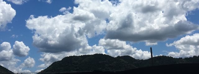 鯱さんの壁紙画像