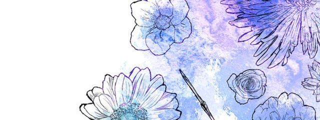 鳥さんの壁紙画像