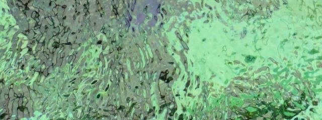 Lunaさんの壁紙画像