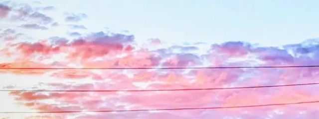 もも🎼 🖋 🎨@無期限活動休止さんの壁紙画像