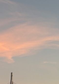 ただの同居人じゃなくなりました。