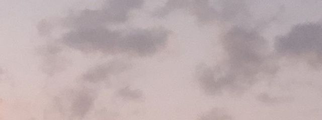 ﾊﾘﾑさんの壁紙画像