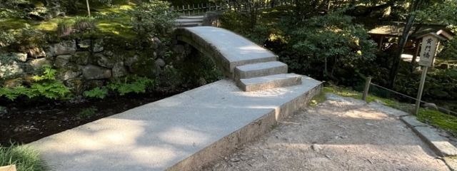 しらたさんの壁紙画像