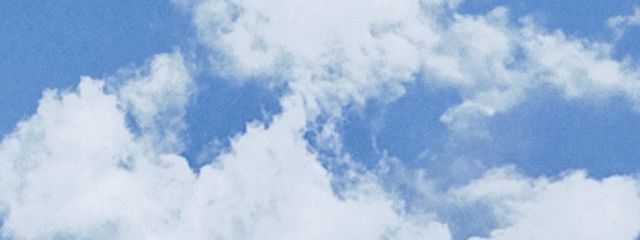 🐹💙さんの壁紙画像