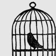 NOE 🕊☘️☘️🍃🍃さんのアイコン画像