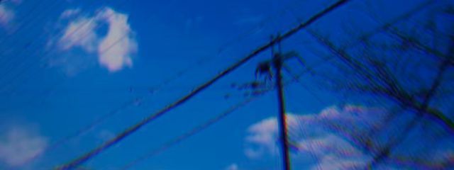 ぜらちんさんの壁紙画像