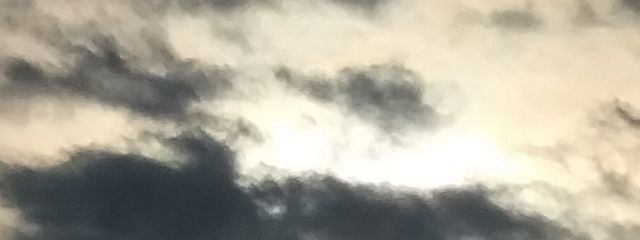 ❀な～ちゃん❀さんの壁紙画像