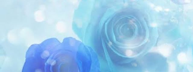 引きこもりのりんご@ペア画中さんの壁紙画像