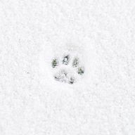 ひゅう @ XLさんのアイコン画像