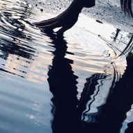 Kurumi.さんのアイコン画像