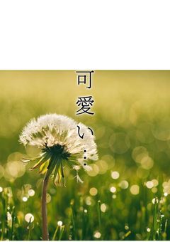 可愛い…(弱ペダ短編集)