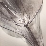 とらばらさんのアイコン画像
