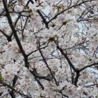 澪李さんのアイコン画像