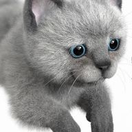 ゜.꒰ঌしらす໒꒱. ゜さんのアイコン画像
