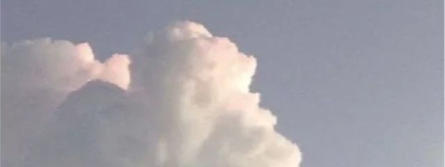 りんさんの壁紙画像